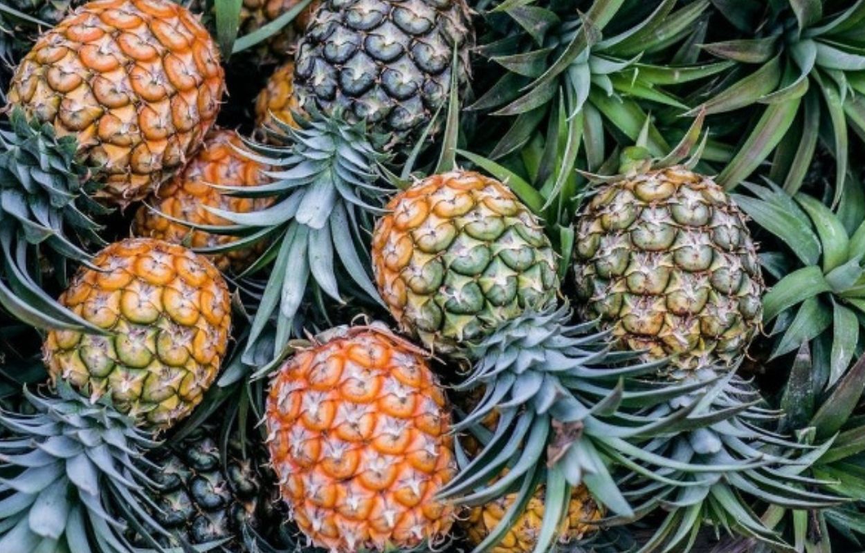 Manfaat Nanas Bagi Kesehatan, Buah Tropis Populer Indonesia