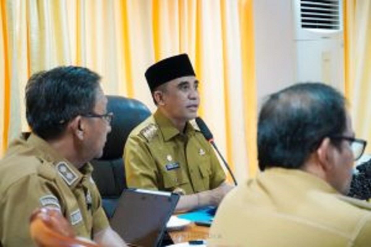 Gubernur Anwar Tawarkan Potensi Sulawesi Tengah ke Investor Tiongkok
