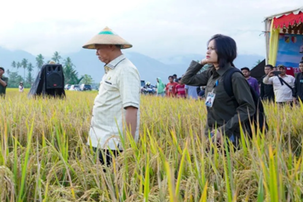 Pemkab Sigi Perkuat Produksi Pertanian, PDRB Didominasi Sektor Pertanian