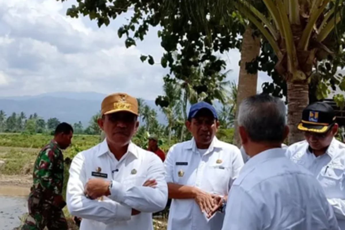 Program Cetak Sawah Nasional 2025, 7.000 Hektare Lahan di Sulteng Siap Tanam