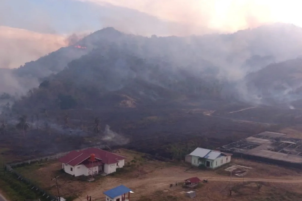 Karhutla Hanguskan Sekitar 20 Hektare Kebun Warga di Parigi Moutong