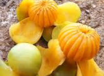 Buah Dengen, Si Asam Segar Khas Sulawesi yang Kaya Manfaat