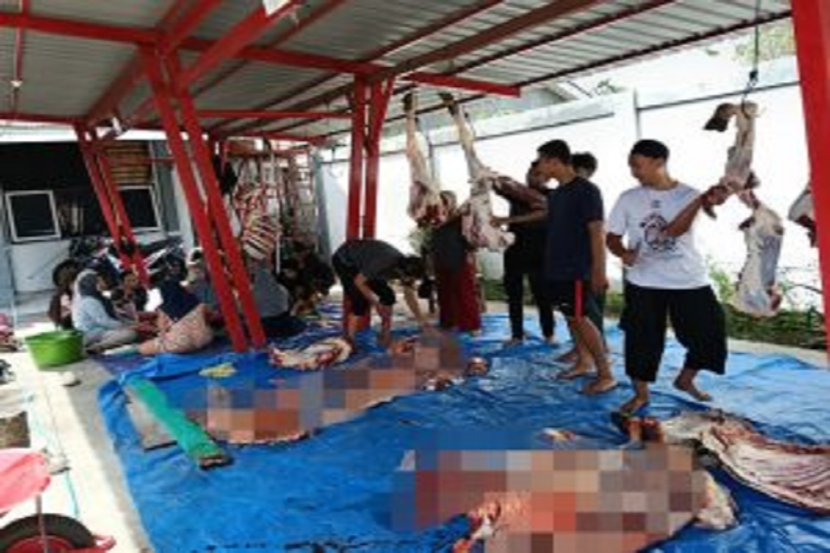 Memupuk Empati dan Solidaritas, Brida Sulteng Salurkan 480 Paket Daging Kurban Idul Adha 2025