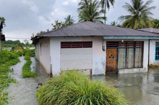 Banjir Parigi Moutong Rendam 4 Desa, 115 KK Terdampak