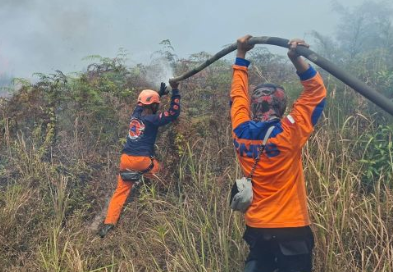 Angin Kencang Picu Karhutla, 50 Hektare Lahan Poso Hangus