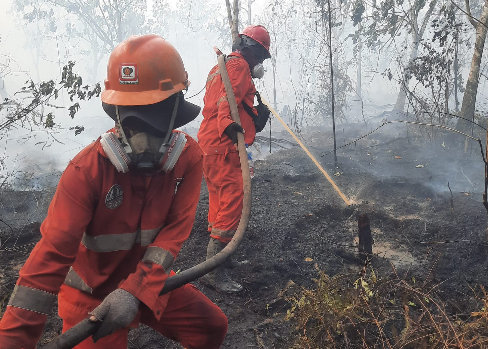 OMC Karhutla Kalimantan Terus Digenjot, Armada Udara Ditambah