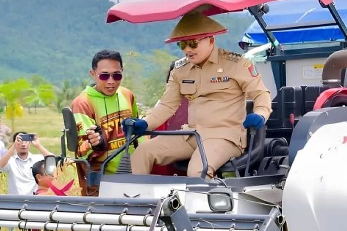 Pemkab Banggai Dorong Kemandirian Pangan Lewat Penguatan Sektor Pertanian