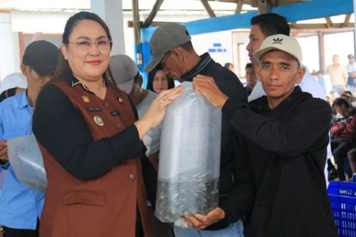 Pemkab Donggala Dorong Wujudkan Sektor Perikanan Laut Berbasis Ekonomi Biru