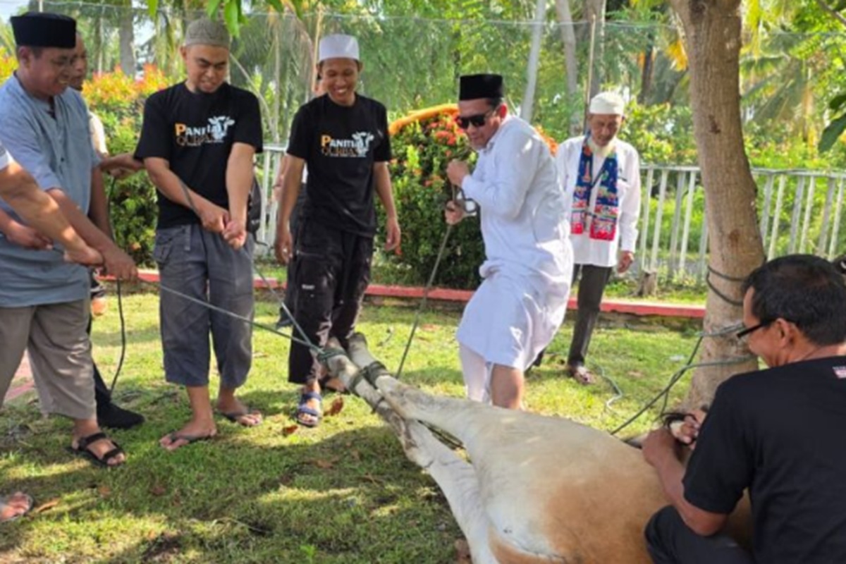 Ribuan Napi di Sulteng Kebagian Daging Kurban, Ditjenpas Tebar Kepedulian di Hari Raya