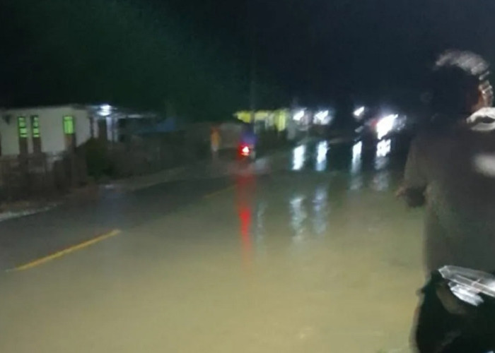 66 Rumah Terendam, Banjir Landa Dua Desa di Donggala Akibat Hujan Deras