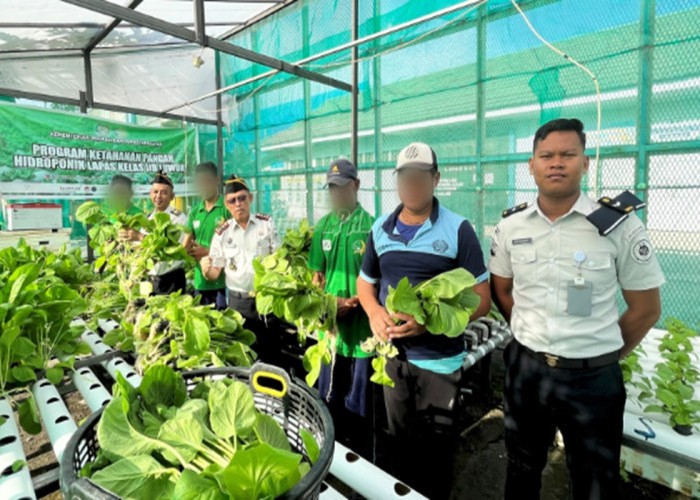 Lapas Luwuk Panen Jagung dan Kangkung, Hasilnya Disumbangkan untuk Korban Bencana