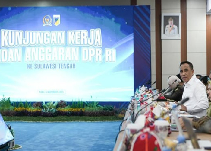Gubernur Anwar Hafid Perjuangkan Keadilan Fiskal untuk Sulteng di Hadapan Banggar DPR RI