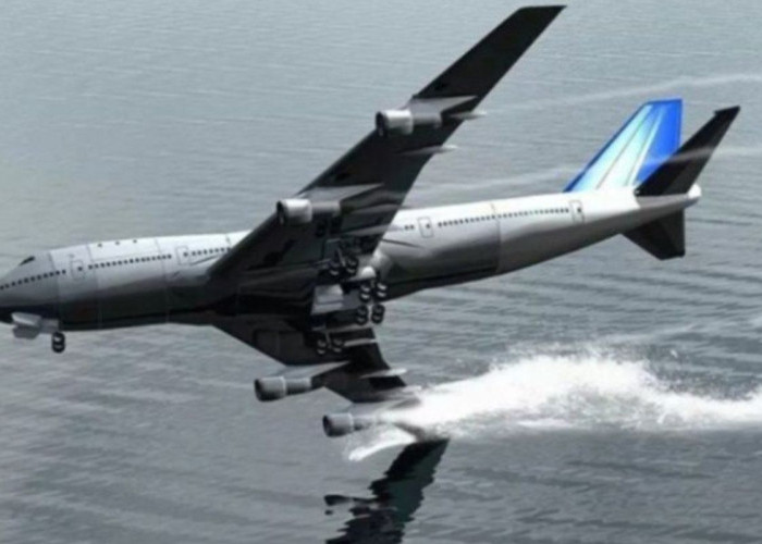 Terjadi Lagi, Pesawat Jatuh Tewaskan Seluruh Penumpang Termasuk Anggota DPR