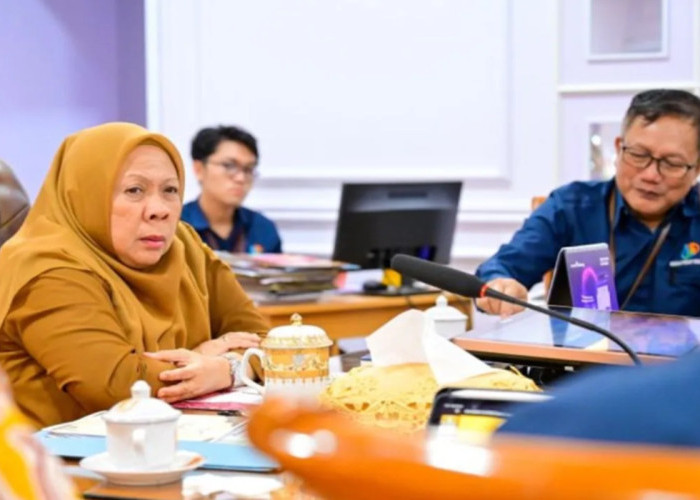 Pemprov Sulteng Dukung Sensus Ekonomi 2026, Dorong Data Akurat untuk Pembangunan Daerah