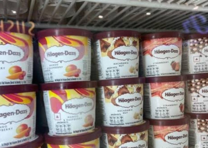 Es Krim Häagen-Dazs: Simbol Kemewahan Rasa yang Mendunia