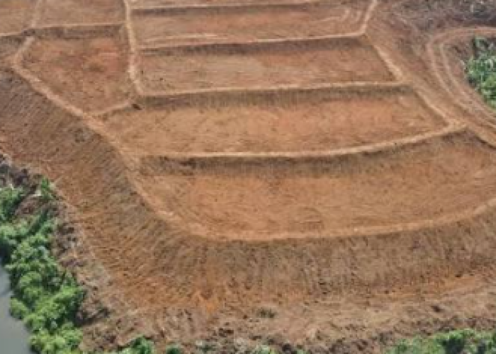 Sulteng Cetak Sawah Baru 3.000 Hektare, Perkuat Lumbung Pangan Nasional