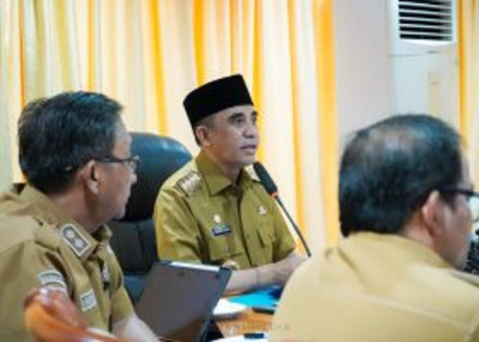 Gubernur Anwar Tawarkan Potensi Sulawesi Tengah ke Investor Tiongkok