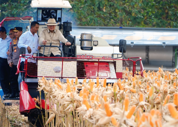Pemerintah Klaim Swasembada 8 Komoditas Pangan, Surplus Produksi Capai 4,69 Juta Ton