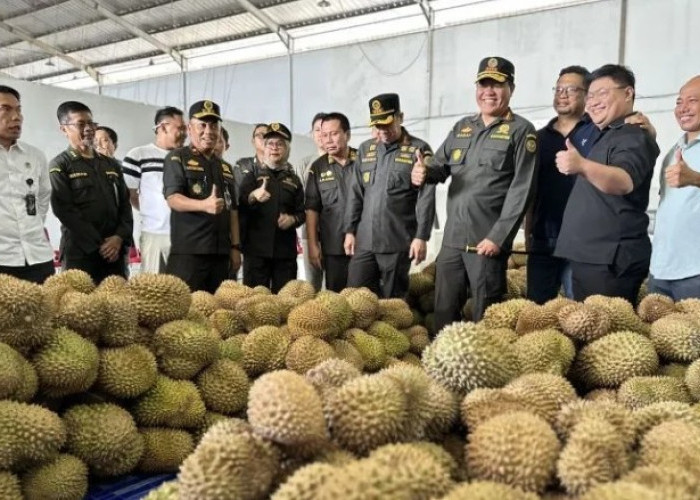 Balai Karantina Indonesia: Tinjau Persiapan Ekspor Durian dari Palu ke Tiongkok