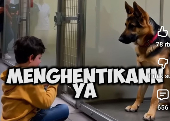 Pertemuan Banjir Air Mata, Anjing Ganas dan Bocah Tuna Rungu