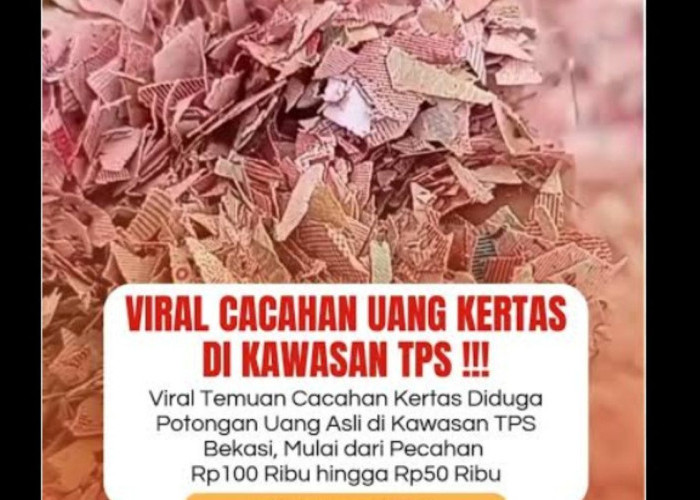 Bekasi Heboh, Cacahan Uang Kertas Merah Tergeletak di TPS 