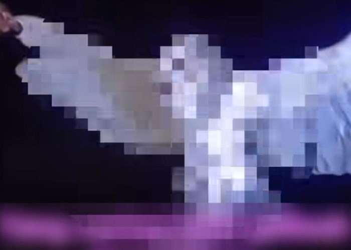 Biadab! Warga di Belu NTT Tembak Burung Hantu Langka karena Alasan Sepele