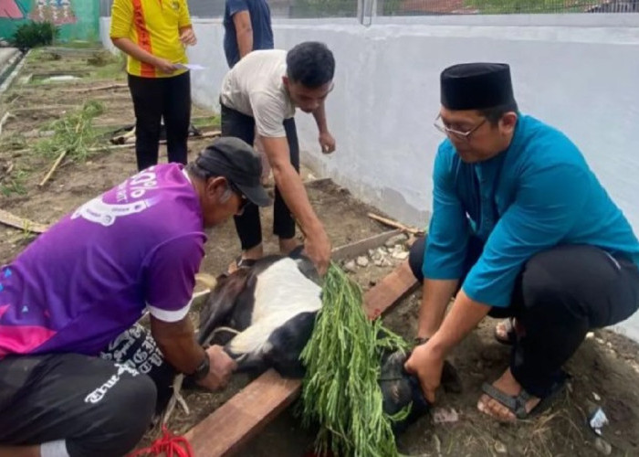 Kanwil Ditjenpas Sulteng Salurkan 34 Hewan Kurban untuk Warga Binaan