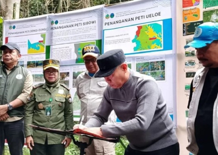 Pemkab Sigi dan BBTNLL Sepakat Tutup Tambang Emas Ilegal di Taman Nasional Lore Lindu
