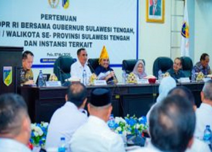 Gubernur Sulteng Minta Regulasi Tegas soal BUMD dan BLUD ke Komisi II DPR RI