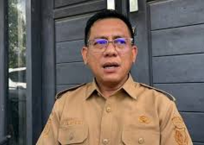 Siaga 1 Godzilla El Nino: Pemkab Sigi Ajak Warga Lestarikan Hutan