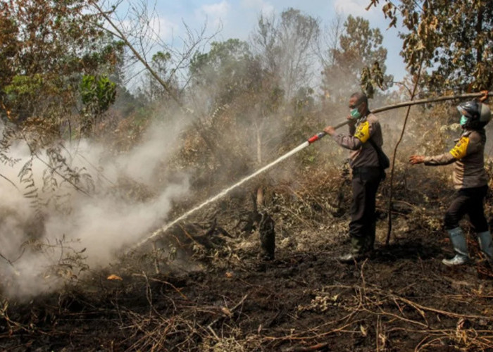 Karhutla Parimo Meluas, Bupati Erwin Perintahkan Pendataan Kebun Warga Terdampak