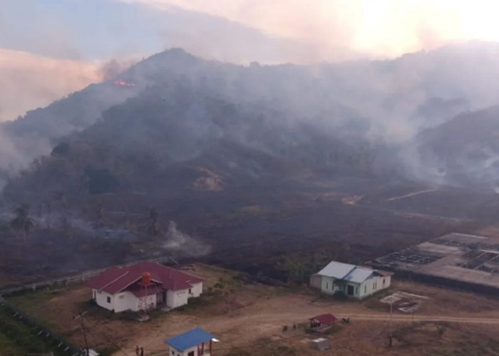 Karhutla Hanguskan Sekitar 20 Hektare Kebun Warga di Parigi Moutong