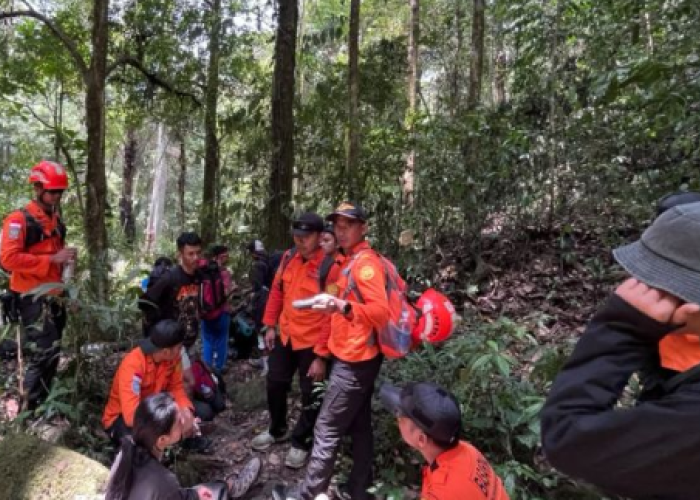 7 Pendaki Gunung Nokolalaki Ditemukan Selamat