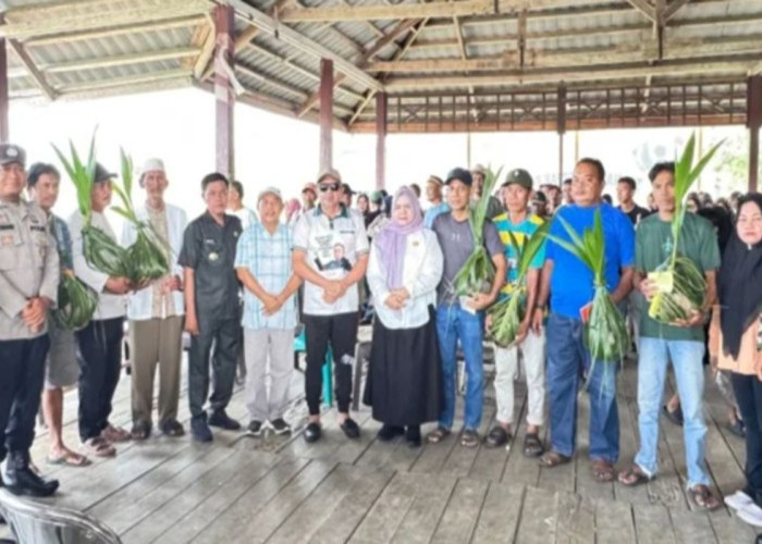 Pemkab Touna Bagikan Ratusan Bibit Kelapa untuk Petani, Produktivitas Perkebunan Digenjot