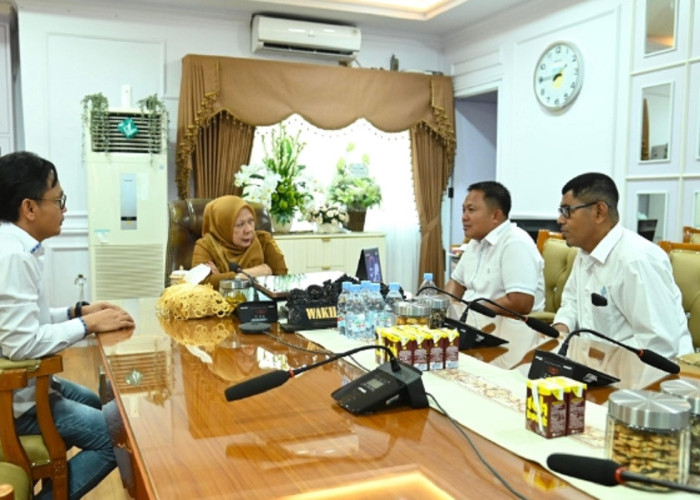 Wagub Sulteng Terima Audiensi INKINDO, Perkuat Kolaborasi Perencanaan Pembangunan