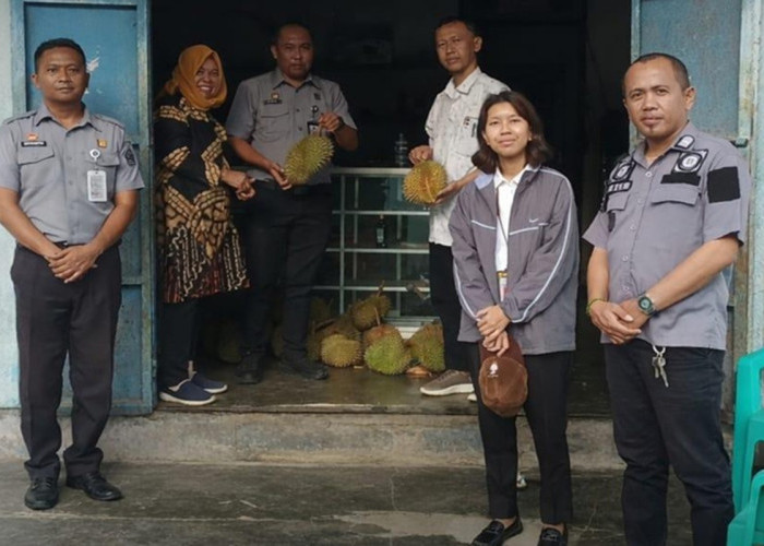 Kanwil Kemenkum Sulteng Dampingi Penyusunan Dokumen Indikasi Geografis Durian Parigi Moutong