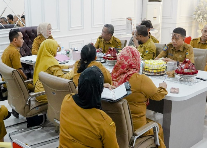 Lewat SIPD, Pemprov Sulteng Bahas Integrasi Data PPPK Paruh Waktu ke SIASN dan Penyesuaian APBD-P