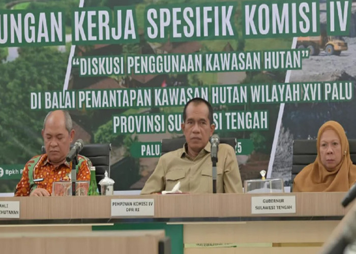 Abdul Kharis Dorong Pengelolaan Kawasan Hutan Sulteng yang Berkeadilan dan Berkelanjutan