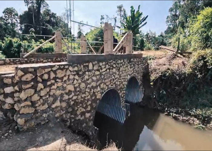 Jembatan Perintis Garuda di Nias Barat Rampung, Akses Warga Kini Lebih Cepat dan Efisien
