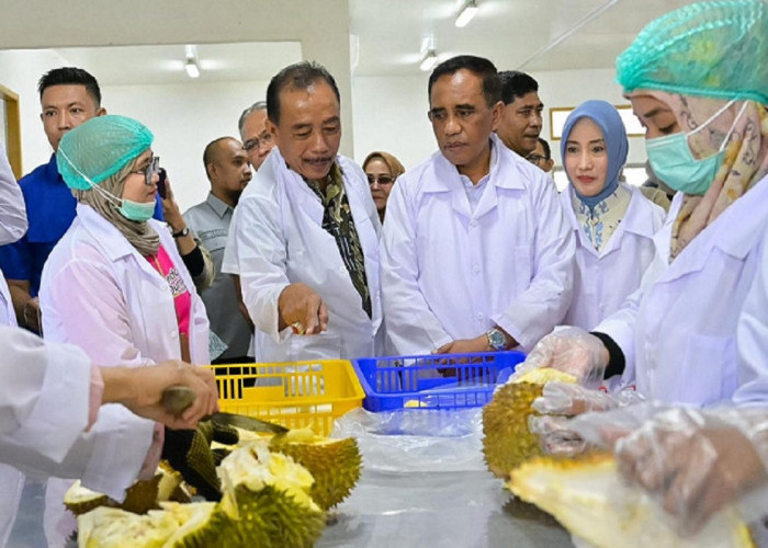 Gubernur Sulteng Resmikan Rumah Produksi Durian PT Pondok Durian Sulawesi di Parigi Moutong