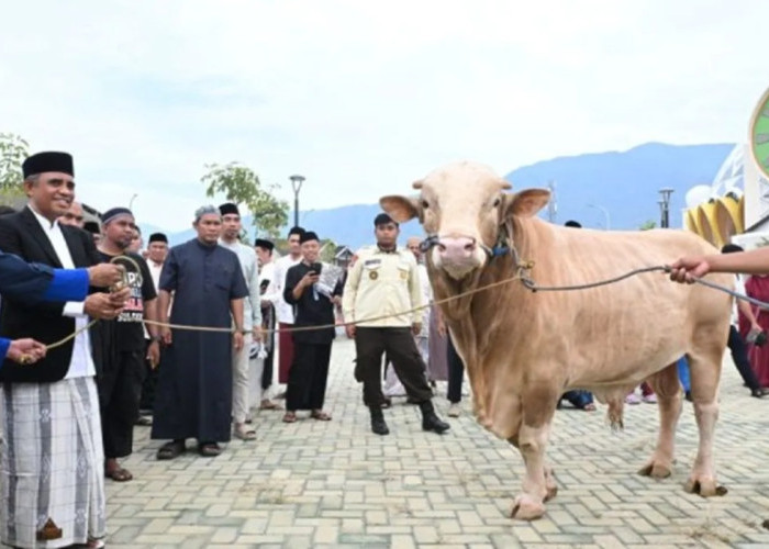 Gubernur Sulteng Kirim Hewan Kurban ke LPKA Palu, Anak Binaan Ikut Rasakan Kebahagiaan Idul Adha