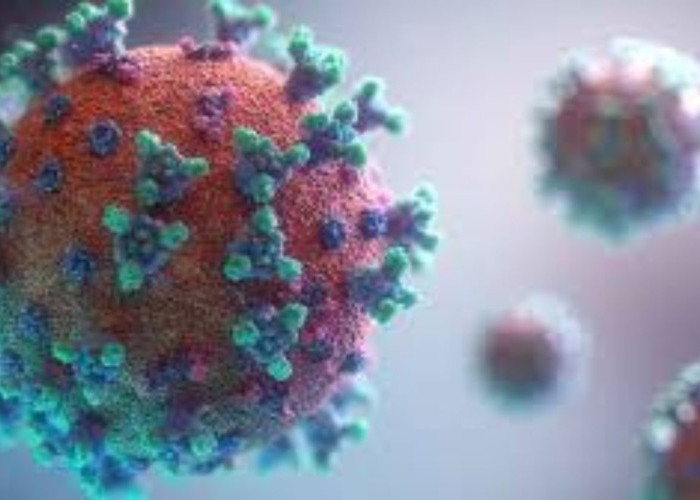 Waspada Varian Baru Covid 19 dari AS, Mampu Tembus Perlindungan Vaksin