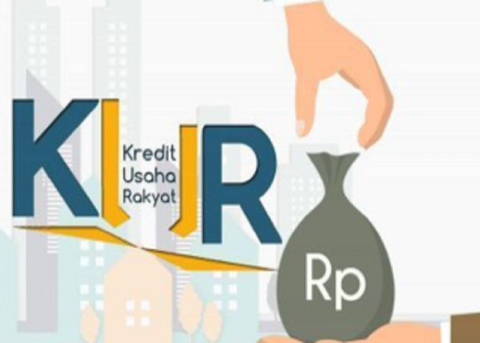 Rp3,06 Triliun KUR Mengalir ke Sulteng, Palu Tertinggi