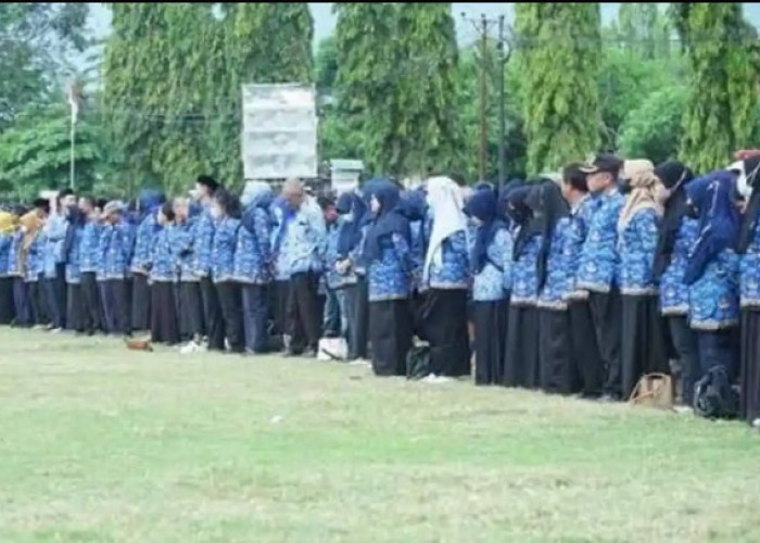 Belanja Pegawai Pemkot Palu Capai 52,86 persen tahun 2026