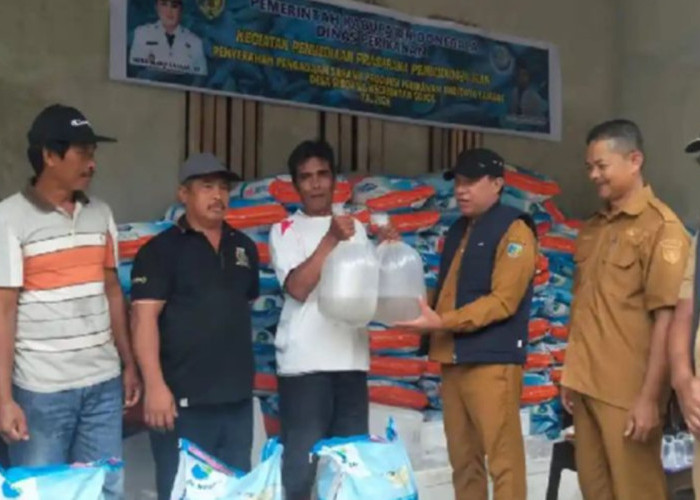 Tambak Hancur Diterjang Banjir, Pemkab Donggala Tebar Ribuan Benih Udang dan Pakan Gratis!