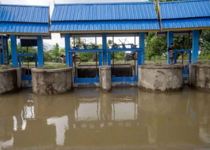 Sigi Usulkan Perbaikan Irigasi untuk Produktivitas Pertanian