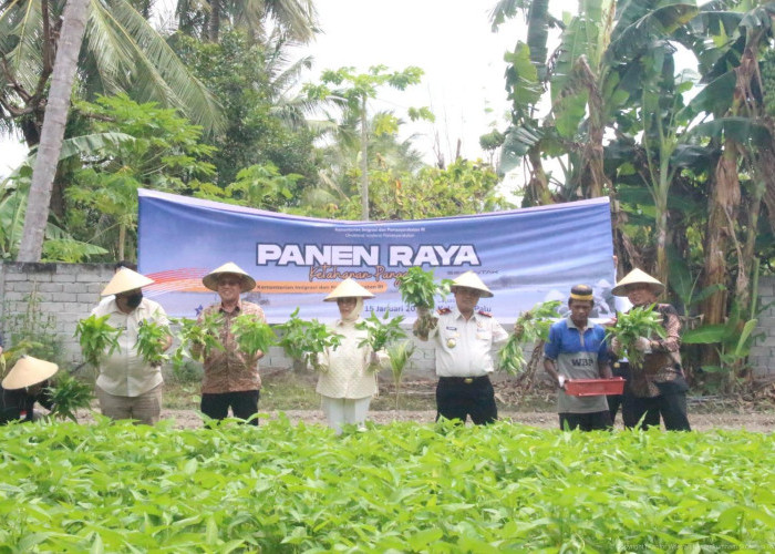 Panen Raya Pemasyarakatan Serentak, Bukti Pembinaan Kemandirian Warga Binaan di Sulteng Berbuah Hasil