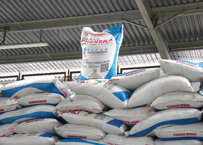 Harga Pupuk Turun 20 Persen, Pemerintah Jaga Produksi Pangan di Tengah Tekanan Global