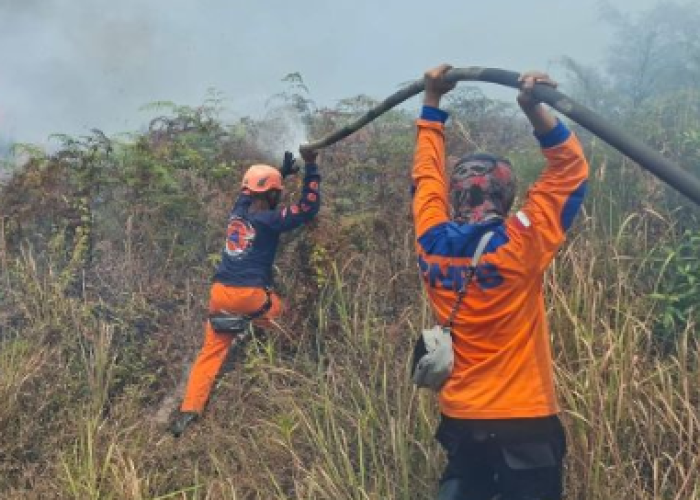 Angin Kencang Picu Karhutla, 50 Hektare Lahan Poso Hangus