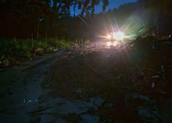 4 Desa di Donggala Terdampak Banjir dan Longsor, Akses Trans Palu–Tolitoli Terputus